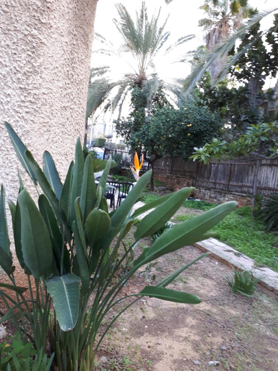 Etty'S House Otel Petach Tikva Dış mekan fotoğraf